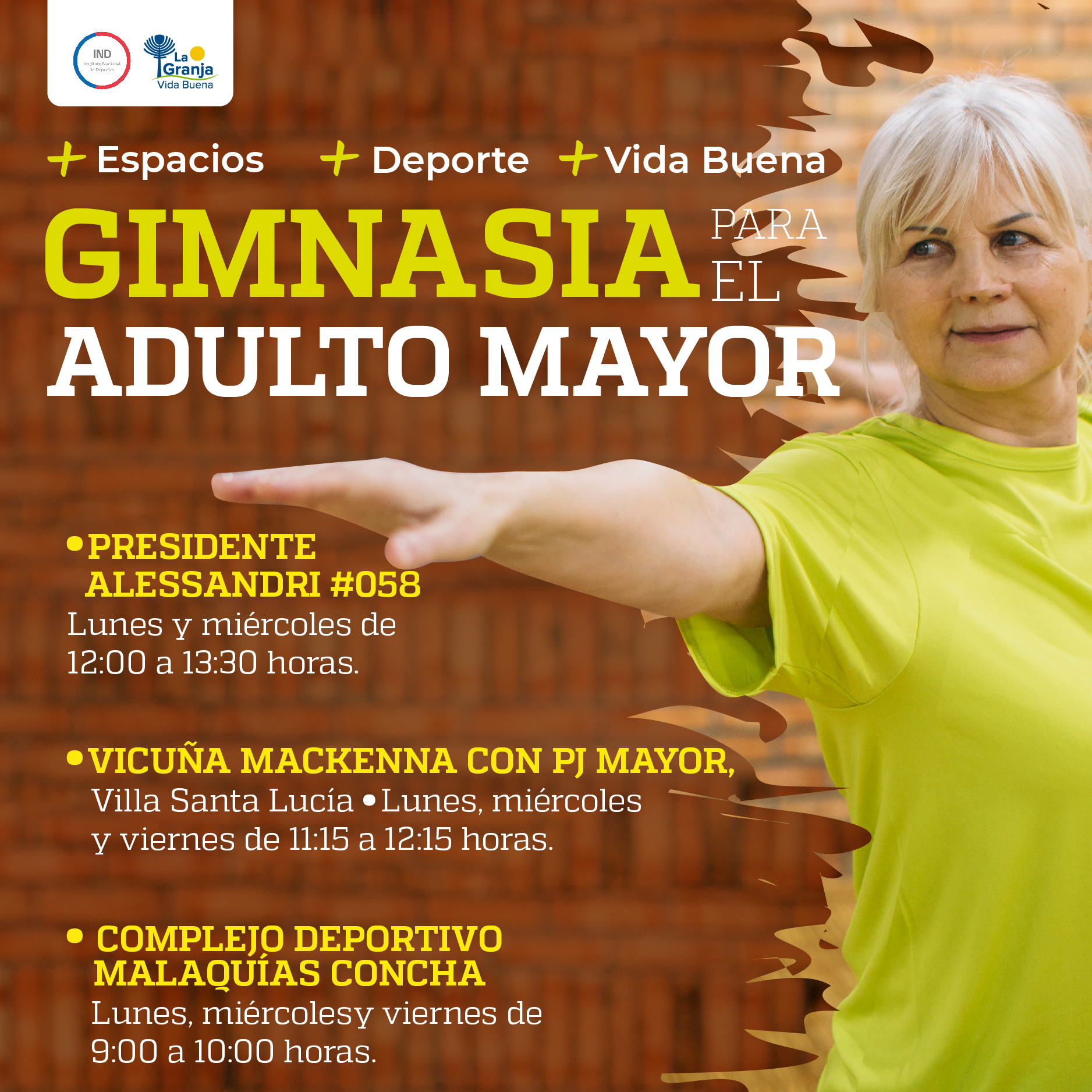 Talleres_gym_adulto_mayor_RRSS (2)