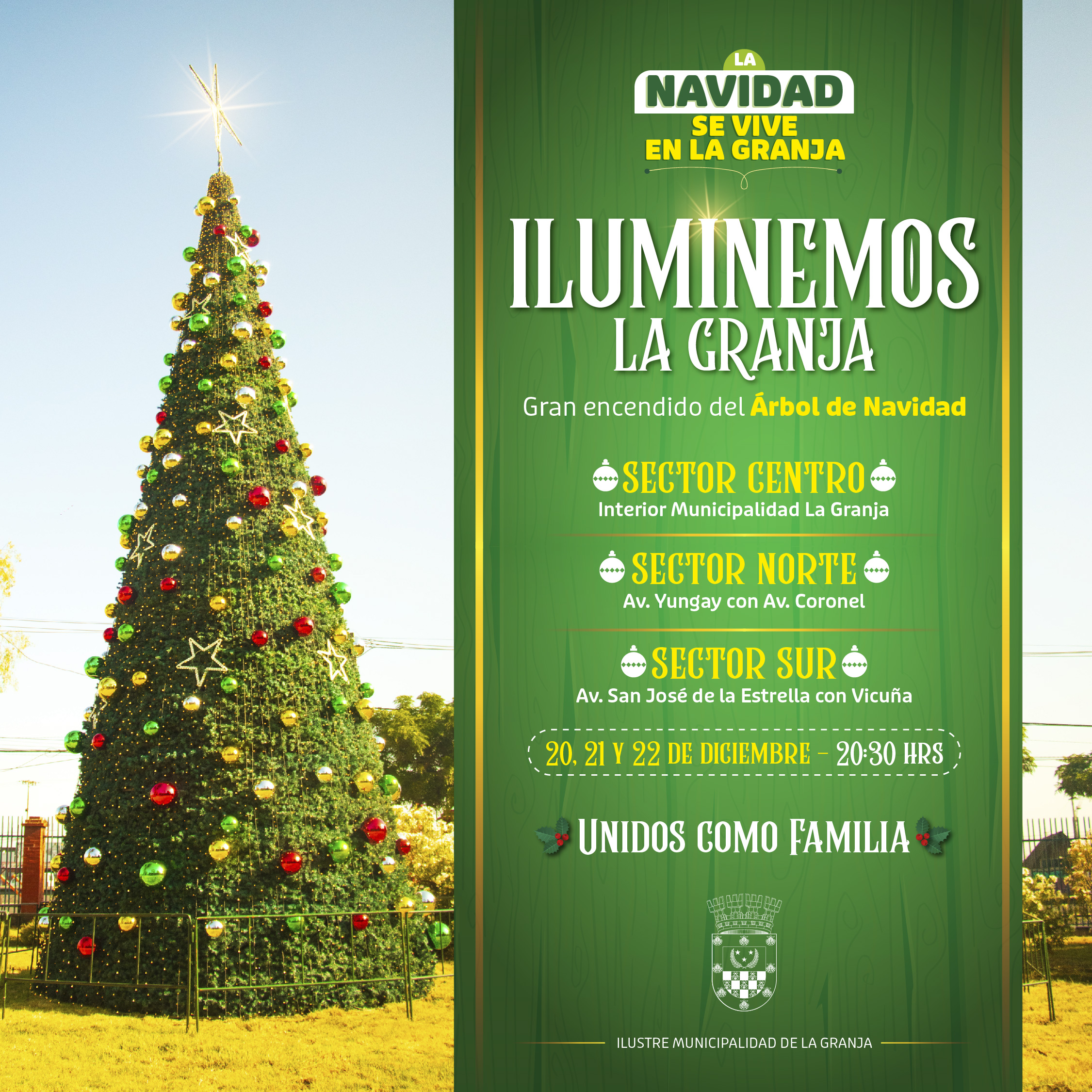 Arbol de Navidad_ Iluminemos-16